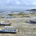 farming_seaweed_nlem_h_0732_bal4029.jpg